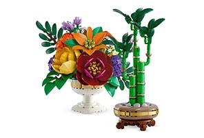 LEGO® Botanicals